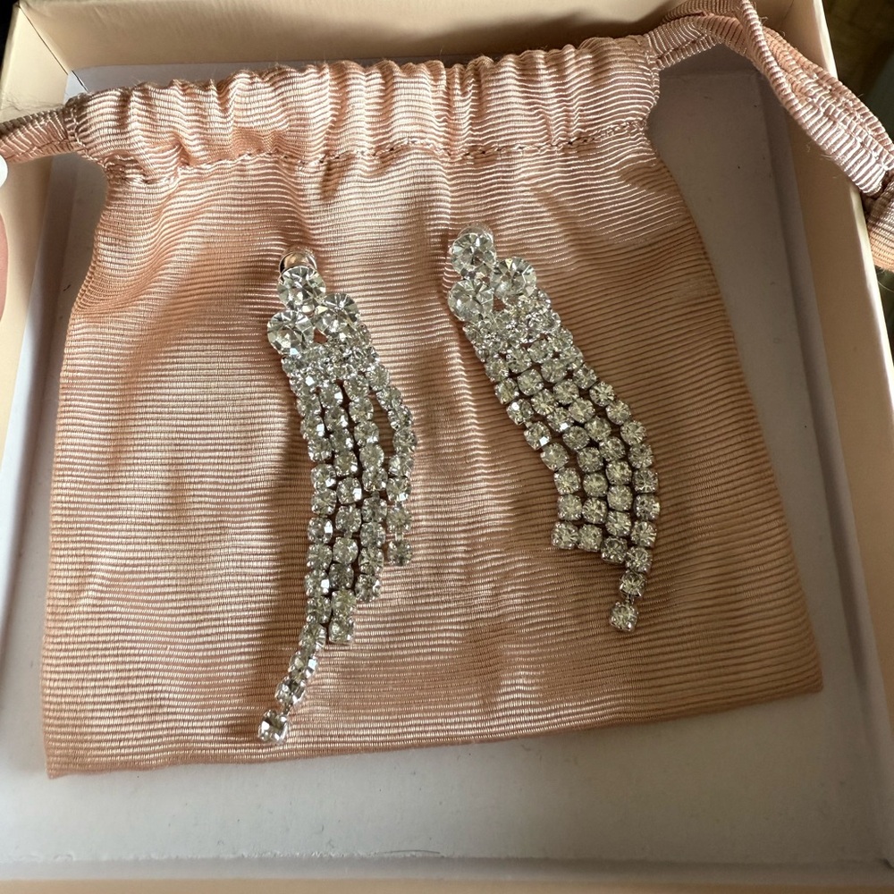 Brand new Loeffler Randall Silver Crystal Drop Earrings